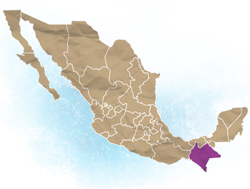 Oaxaca Chinantla