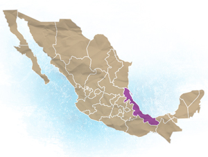 Veracruz Location