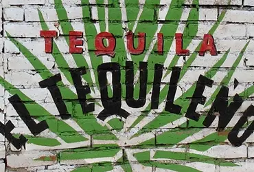 Brick wall with a painting of a tequila plant and the text "" painted on it